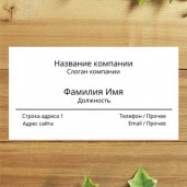 Визитка горизонтальная